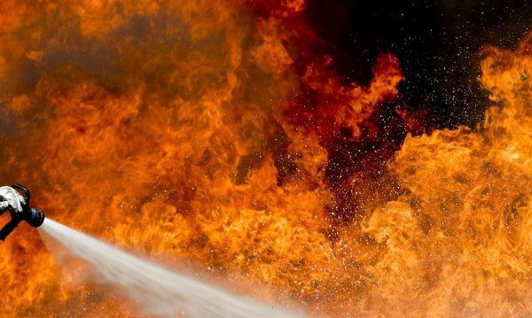 Пожарите до летище "София" са напълно загасени