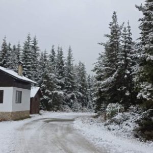 Зимите се стопяват: Българчетата през XXII век няма да знаят какво е сняг