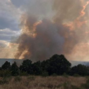 Фронтът на пожара край българо-гръцката граница вече е 20 км
